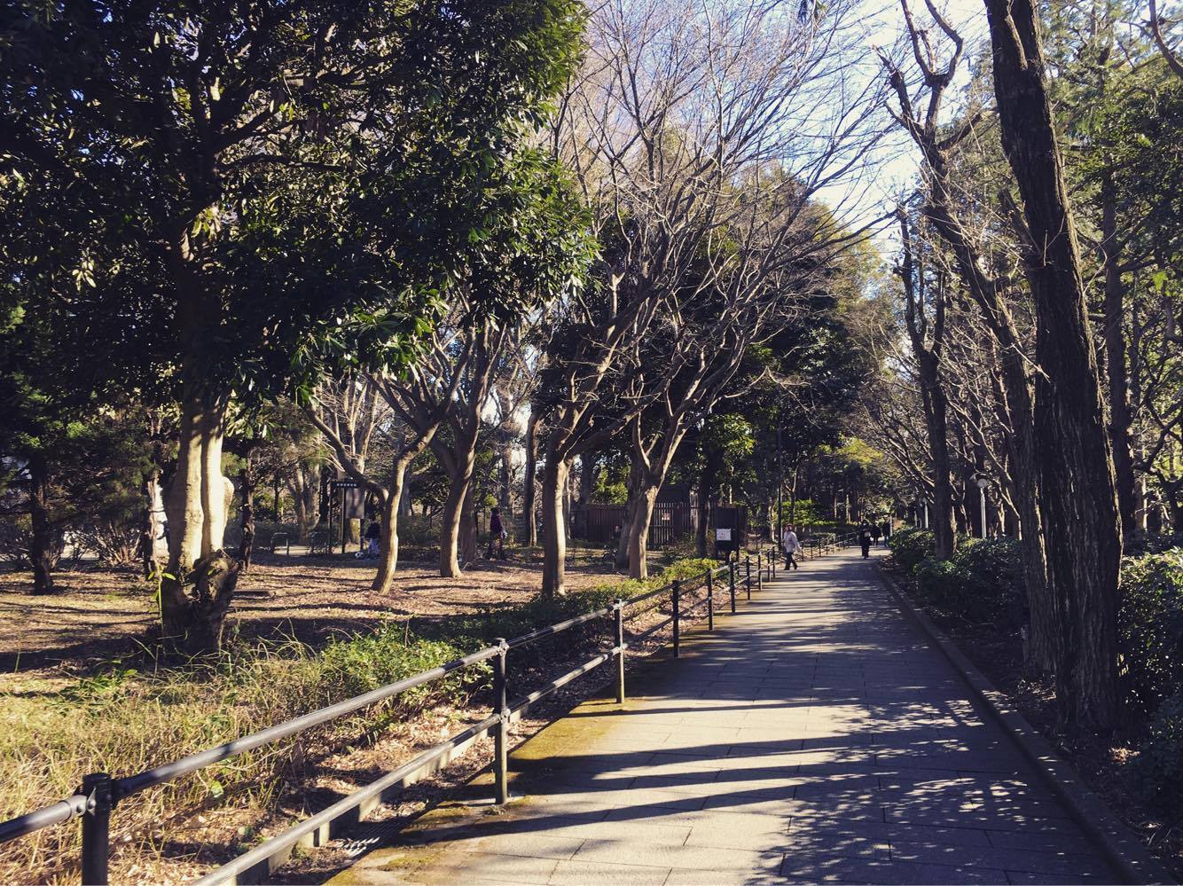 世田谷美術館のお隣は砧公園。子供づれでも楽しめます。