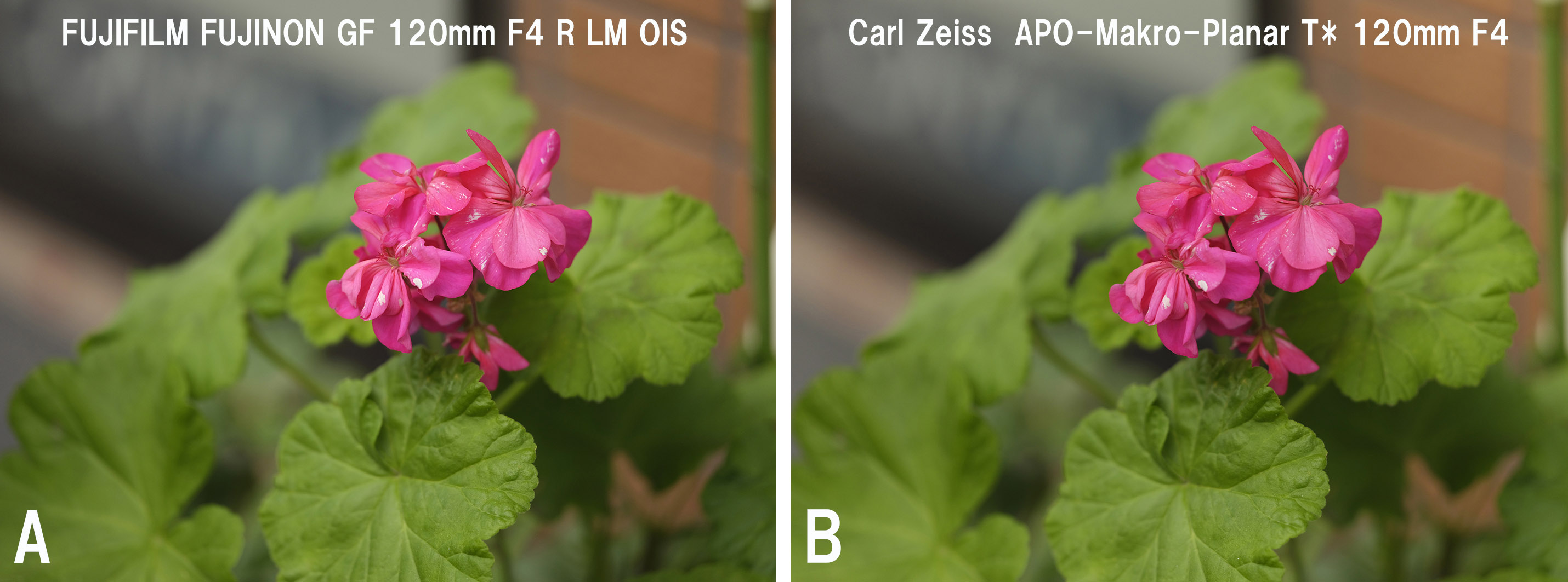 AがFUJIFILM、BがCarl Zeiss